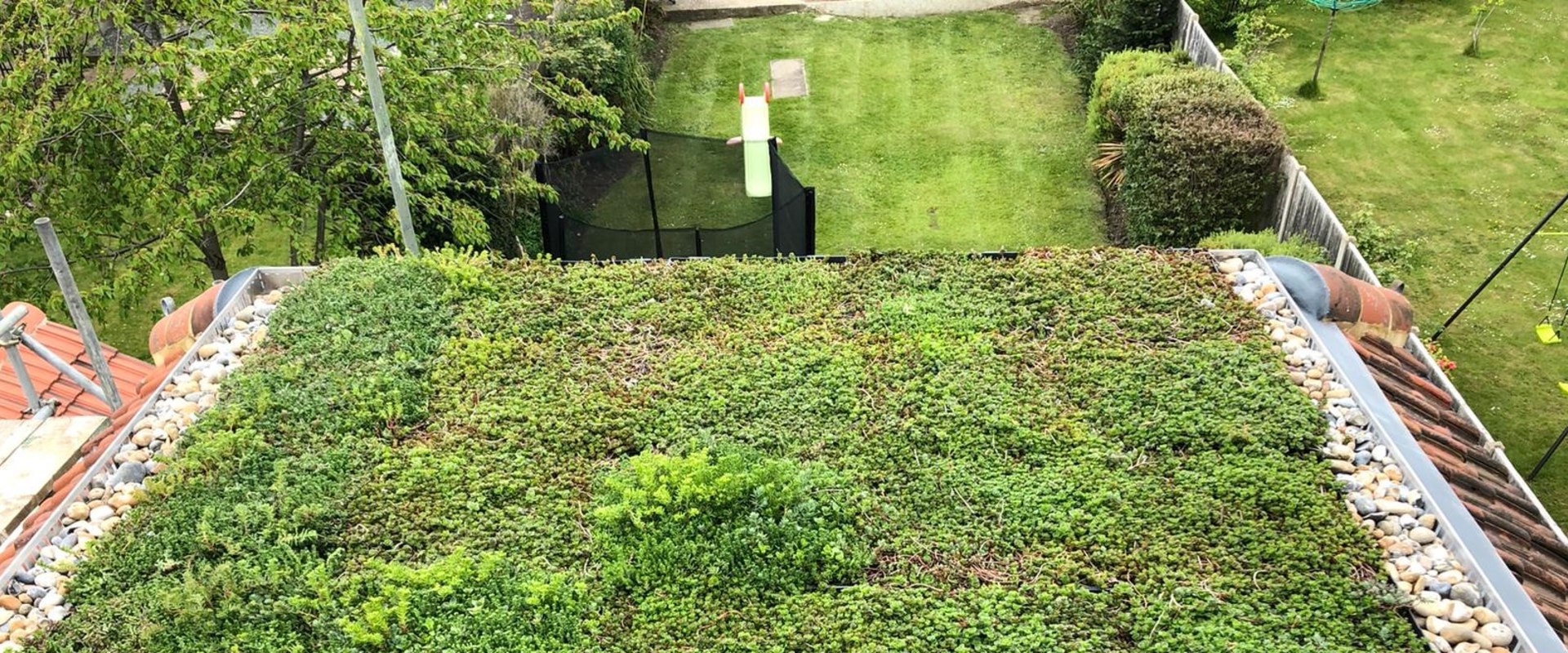 Maintenance and Installation Considerations for Green Roofs