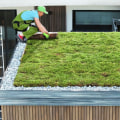 Environmental Benefits of Green Roofs: Enhancing Your Roof and Protecting the Environment