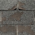 Causes of Roof Damage and How to Prevent Them
