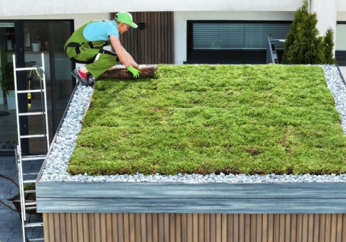 Environmental Benefits of Green Roofs: Enhancing Your Roof and Protecting the Environment