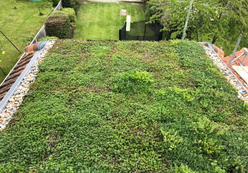 Maintenance and Installation Considerations for Green Roofs